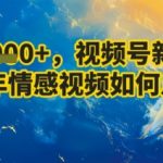 视频号中老年情感暴利玩法！AI一键生成日赚3000+，新手月入5W攻略
