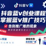 抖音蓝V零门槛矩阵玩法：3天精通推广技巧，月省万元引流百万！