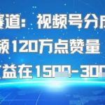 懒人专属视频号分成计划：单条120W点赞狂赚1500+，轻松月入过万秘籍！