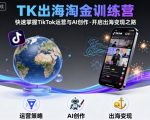 爆款TK出海淘金训练营：快速精通TIKTOK运营与AI创作，开启财富变现风暴！