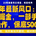 2025虚拟掘金暴利新玩法！手机轻松日赚500+，必看揭秘