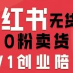 小红书0粉电商爆款秘籍：无货源开店选品笔记视频数据账号打造从零到一全攻略
