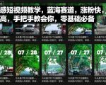 情感短视频蓝海赛道：手把手教学，零基础速成涨粉快、收益高！