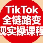 TikTok跨境爆单终极指南：7天实操从0到日销千单，手把手教你玩转独立站变现