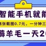 爆款手机项目：20秒一单，纯薅羊毛日赚200+，轻松上手【揭秘】