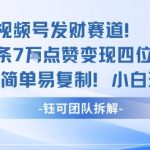 视频号暴利变现秘籍：单条7W点赞日赚千元，零门槛小白速成攻略