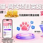 3天回本！网站搭建+SEO优化·精准引流跳转付费｜卡哇猫运营秘籍