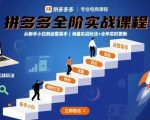 拼多多爆单黑科技实战课：2025最新SEO优化+爆款打造秘籍，新手7天起爆流量翻倍丨实时更新