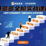 拼多多爆单黑科技实战课：2025最新SEO优化+爆款打造秘籍，新手7天起爆流量翻倍丨实时更新