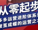 拼多多运营神级进阶系统课：零基础速成爆款秘籍，破茧成蝶术（2025更新）