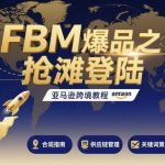 亚马逊FBM爆品跨境教程：10天抢滩登陆，引爆销量终极秘籍！