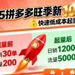 2025拼多多旺季暴力起量秘籍｜新老店铺日销千单暴增攻略！