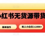 小红书无货源带货暴利项目：新手小白轻松日赚千元，0成本躺赚秘籍！