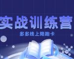 多多实战训练营：7天速成赚钱店铺，月入过万不是梦！
