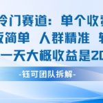 私域冷门赛道暴利引流模板：45%惊人转化率，单人日入千元收费仅198元