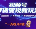 视频号带货变现新玩法：无需露脸粉丝，0基础日入1000+，无封号风险【暴利揭秘】