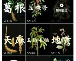 抖音中草药赛道AI爆火：45条视频涨粉13W+，橱窗带货猛赚出单技巧揭秘
