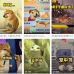 狗头幸运星UE5动画全套课程，从入门到实操全掌握