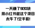 小红书日赚900+零成本神操作，揭秘空手套白狼赚钱秘诀！