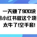 小红书日赚900+零成本神操作，揭秘空手套白狼赚钱秘诀！