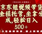 京东短视频带货暴富秘籍：0门槛日赚千元，无需剪辑选品，躺着赚钱！