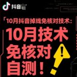 2025抖音掉线秒过免核神技，一键高效解决！