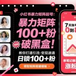 小红书矩阵起号秘籍：日锁500粉速通引流变现，破流量黑盒终极攻略！