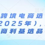 2025亚马逊跨境电商爆款选品案例：利基市场月入百万实战秘籍！