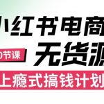 小红书无货源电商爆款赚钱秘籍：零成本月入过万，月薪3K到3W都能轻松上瘾！