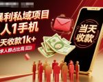 日赚千元暴利私域项目：单人手机操作，当天收款，需求爆棚速变现！