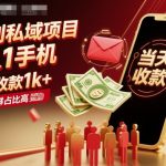 日赚千元暴利私域项目：单人手机操作，当天收款，需求爆棚速变现！