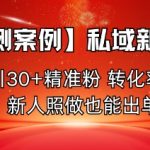 【独家秘笈】私域引流日增50+高质粉，转化率飙升50%，新手零基础轻松爆单！