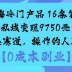 揭秘暴利蓝海冷门产品：16条笔记私域变现9750元，小众赛道月入过万！