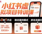 小红书暴利虚拟项目秘籍：2025新手月入过万，抓住流量红利速成课！