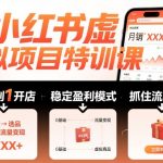 小红书暴利虚拟项目秘籍：2025新手月入过万，抓住流量红利速成课！