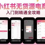 小红书无货源电商终极秘籍：开店选品+爆款内容速成指南