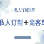 小红书爆款咨询师IP私人定制教程：高客单速成秘籍，月入过万必学！