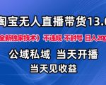 淘宝无人直播13.0终极公域私域技术，零封号违规日赚千元+独家爆赚秘籍揭秘