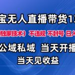 淘宝无人直播13.0终极公域私域技术，零封号违规日赚千元+独家爆赚秘籍揭秘