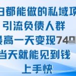 2025年负债人群私域引流项目：日赚1K+零门槛当天提现，小白秒变现爆赚！