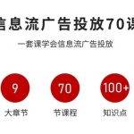 信息流广告投放终极秘籍：70课时实战精通，史上最系统爆款SEO教程！