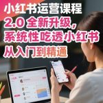 小红书运营终极秘籍2.0：2025爆款升级！从0到精通，系统性吃透小红书