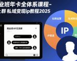 2025爆款社群私域变现IP终极指南：商业年卡全体系课程