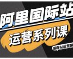 阿里国际站运营终极秘籍：精准引流+直通车实战，AI工具包引爆高效增长！