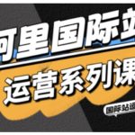 阿里国际站运营终极秘籍：精准引流+直通车实战，AI工具包引爆高效增长！