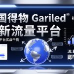 美国得物GARILED爆款实战：揭秘全新流量平台SEO终极干货，即学即用引爆流量！