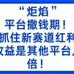 炬焰红利大爆发！5分钟二创内容收益暴涨5倍，新赛道撒钱期速抢爆赚！