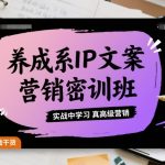 爆款养成系IP文案营销实战密训班：零基础速成高级营销吸金秘籍