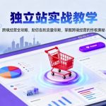 独立站跨境经营终极秘籍：实战教学引爆流量自由，告别依赖革命！