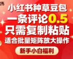 小红书暴利副业！复制粘贴日赚300+，0.5元/条评论矩阵放大，新手小白躺赚指南